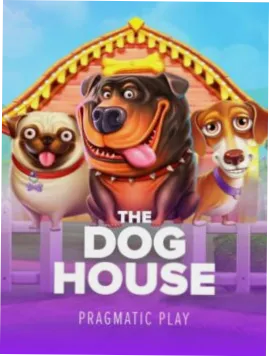 Big Boost Casino allows users to follow their favorite cricket teams in real time during large tournaments